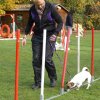 agility 2011-10-30